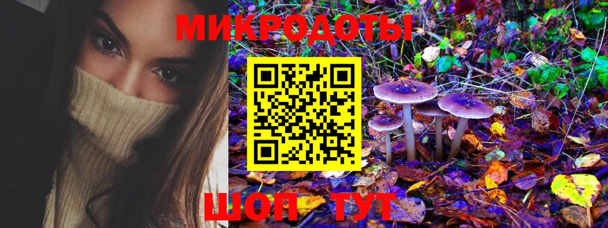 Псилоцибиновые грибы MAGIC MUSHROOMS  Вход с VPN  Ачхой-Мартан  закладки  Псилоцибиновые грибы MAGIC MUSHROOMS 