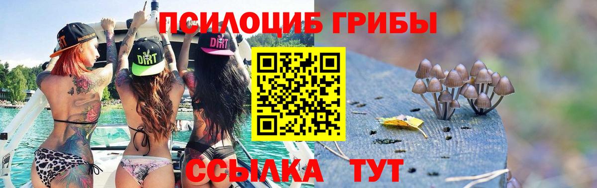Марихуана  Вход с VPN  Ачхой-Мартан  КОКАИН  Alpha-PVP СОЛЬ   Гашиш  Меф кристаллы  ЭКСТАЗИ 