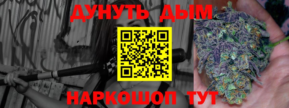 Шишки марихуана план Ачхой-Мартан